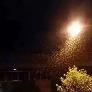 白蟻危害大，4-6月份進入其活躍期 防治白蟻不容忽視！